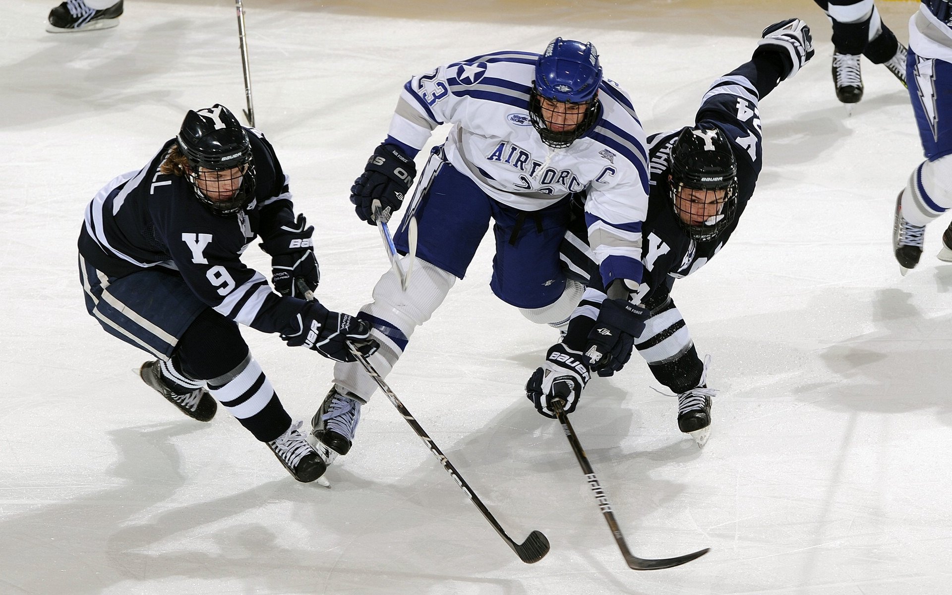 夜空下的极限飞盘,运动也可以如此浪漫,极限飞盘术语